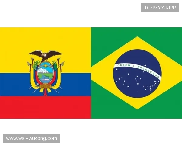 维尼修斯舆论评价两极化 核心分歧形成原因深度分析