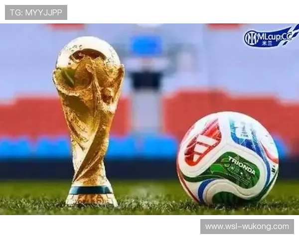 2026世界杯出线概率模型预测结果公布