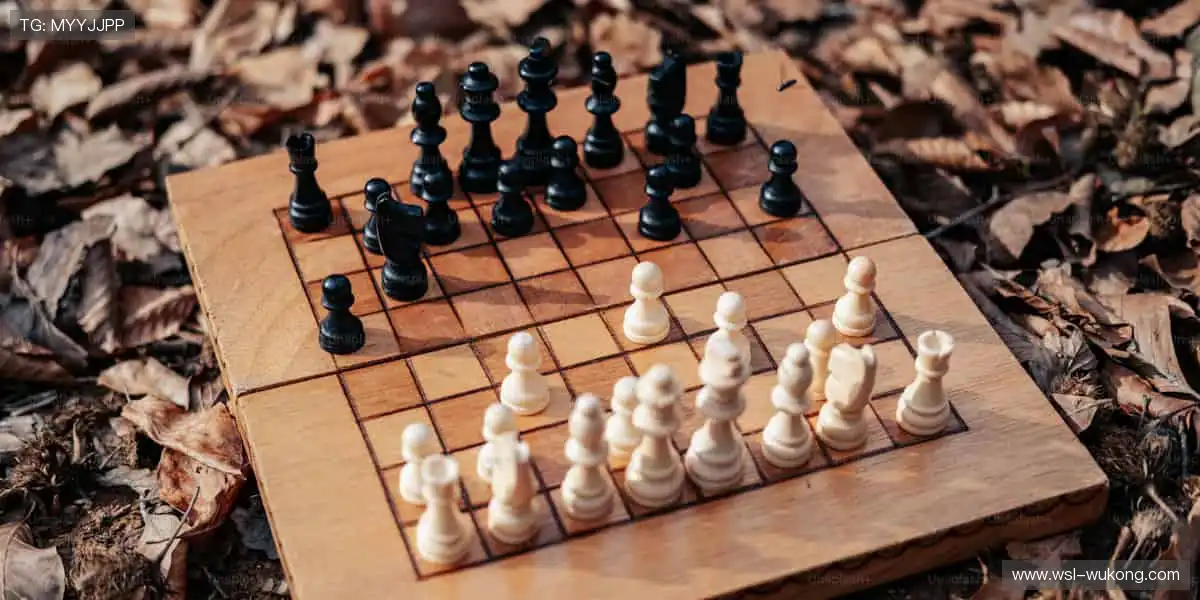 ⚽ 热血赛事,激情一触即发!